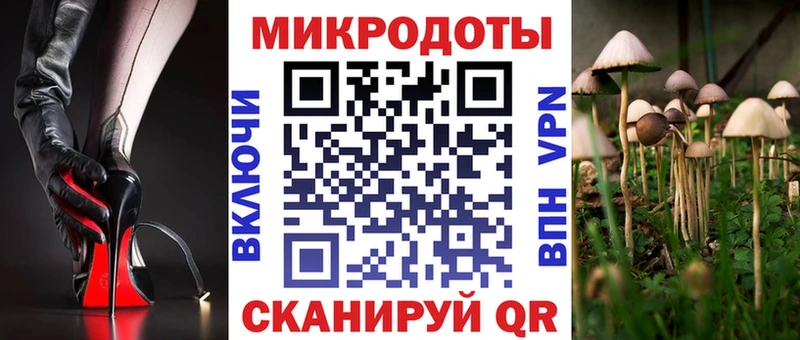 Галлюциногенные грибы Psilocybine cubensis  Купить  Теберда 